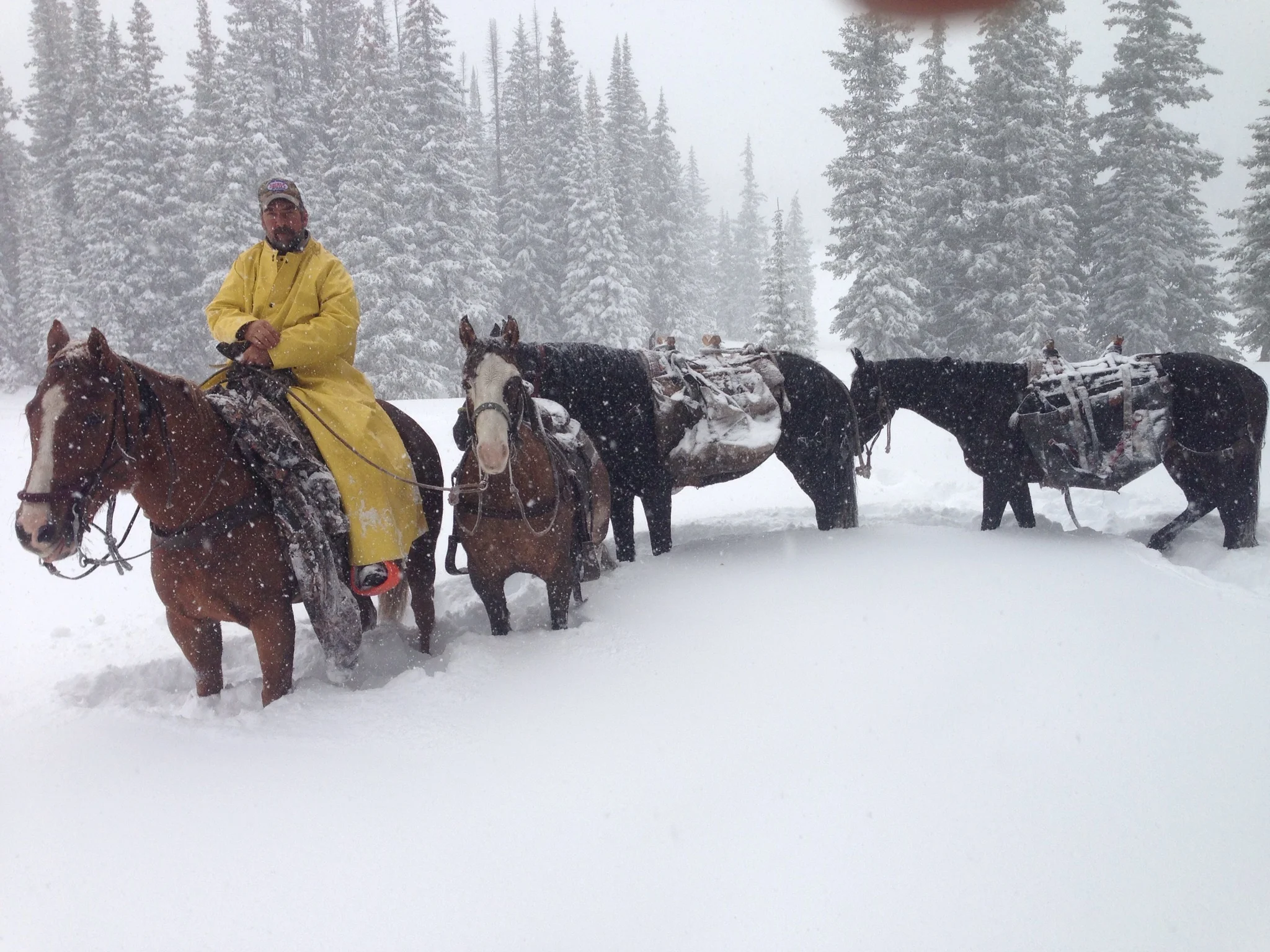 Drop Camp Wilderness Elk Hunts (Horn Fork)