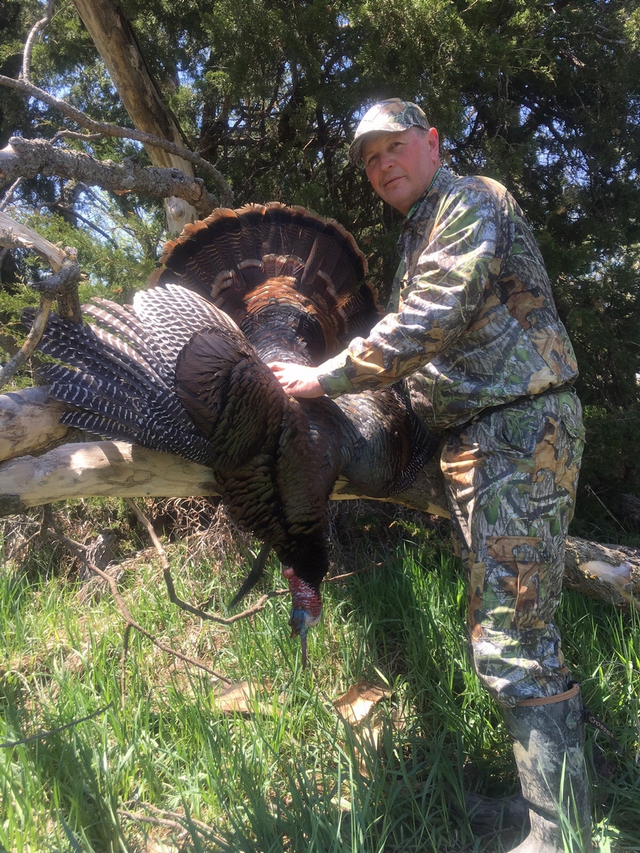 Kansas Turkey Hunts (2-Day, All-Inclusive)