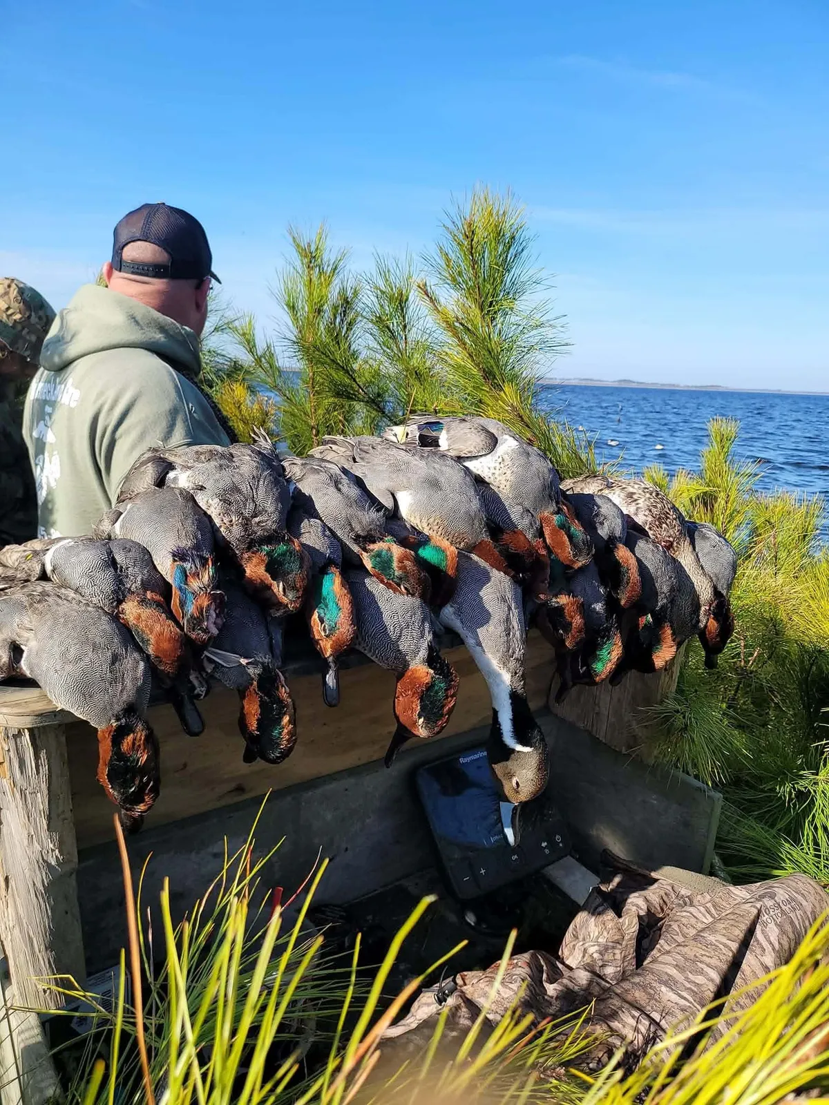 Eastern NC Waterfowl Hunts