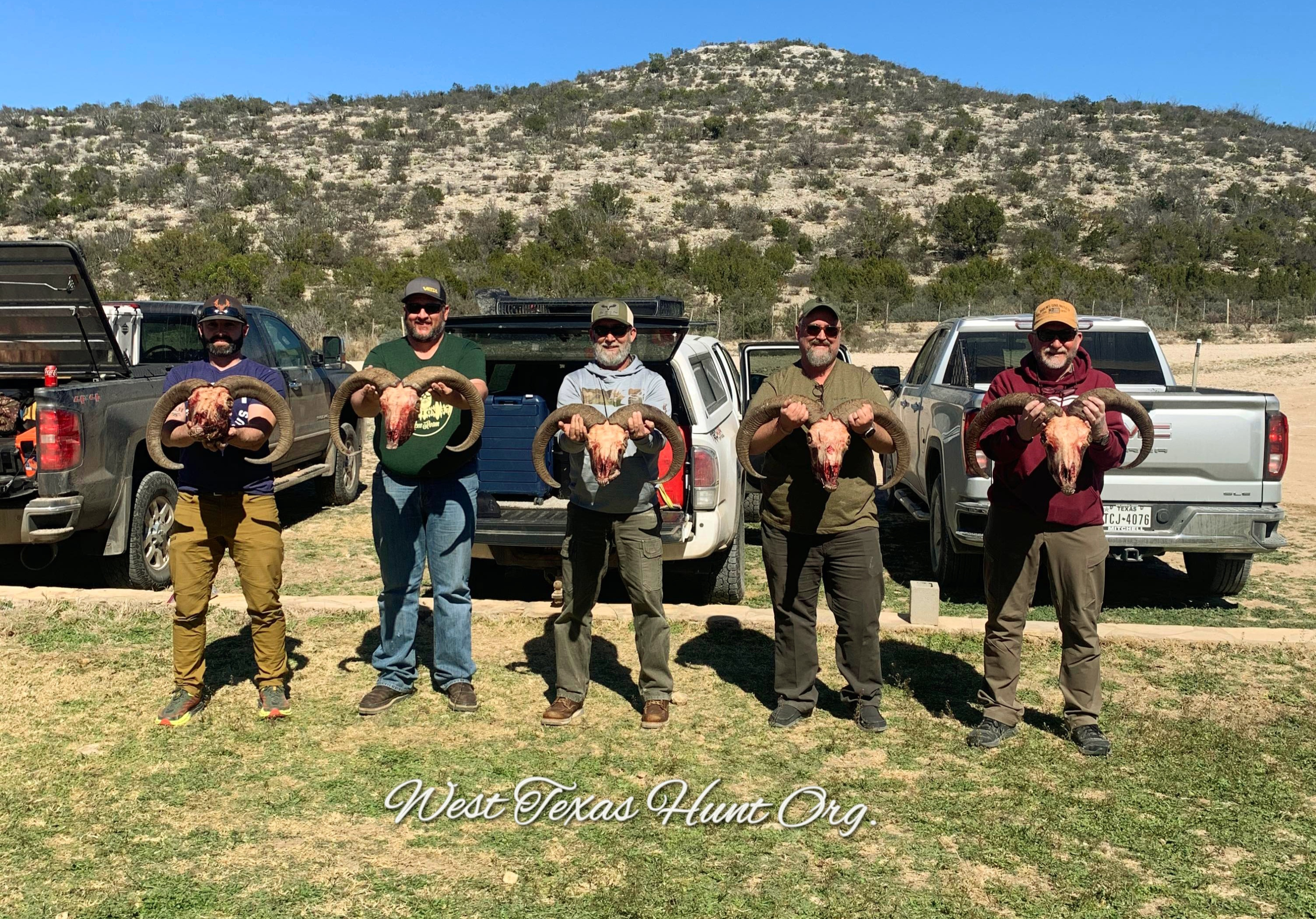 Consuelo Ranch Aoudad Hunts