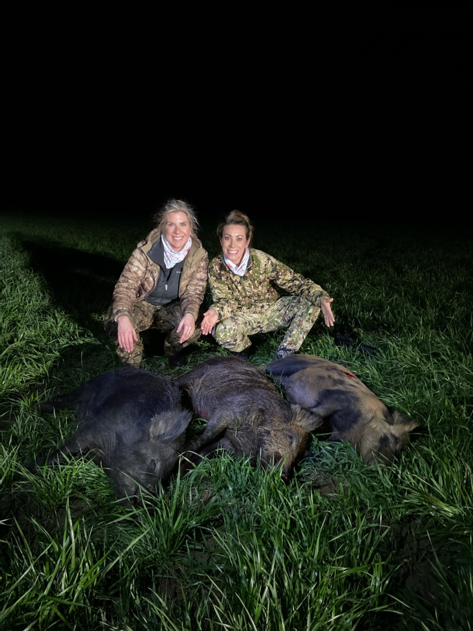 Thermal Hog Hunts