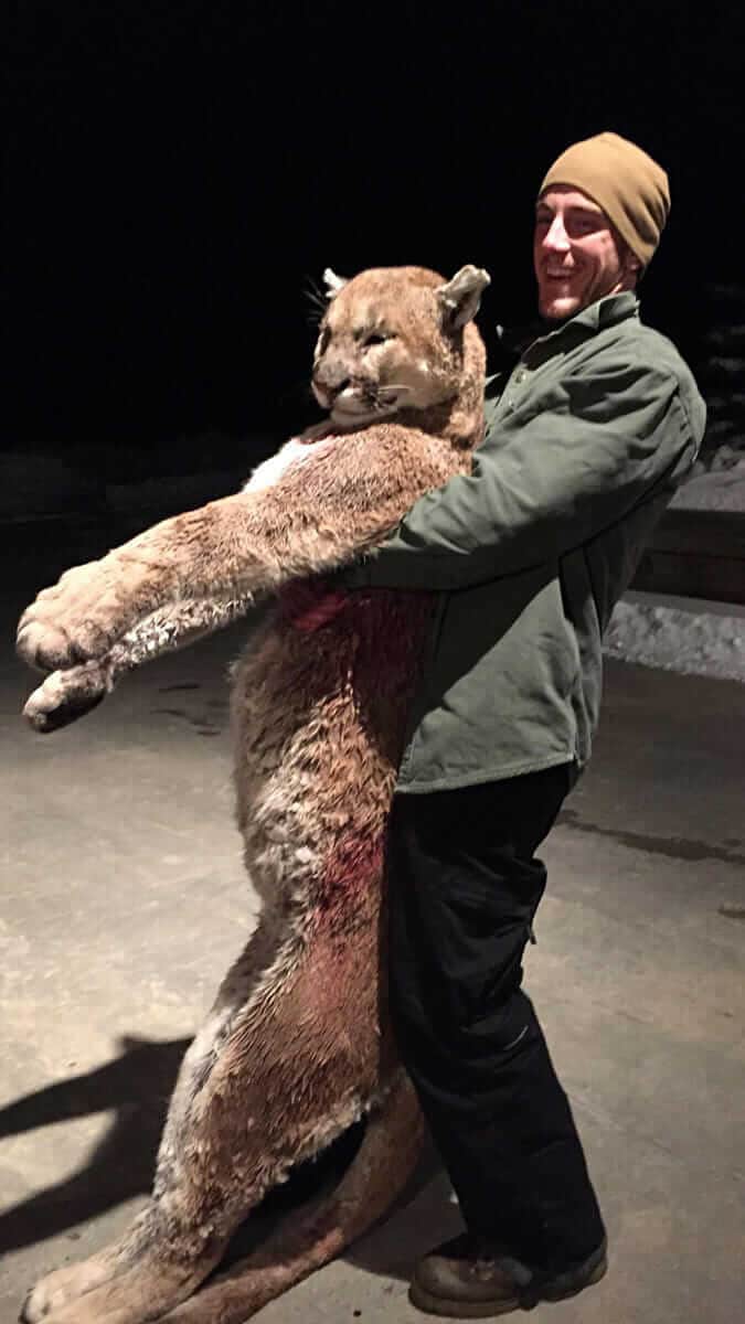 Mountain Lion Hunts (Horn Fork)